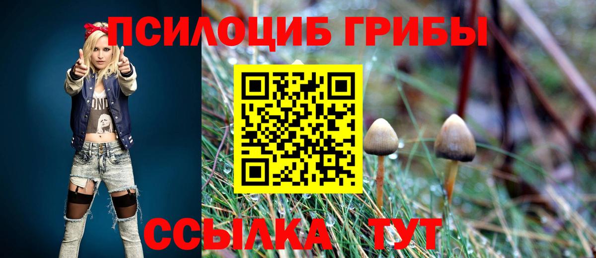 Галлюциногенные грибы Psilocybine cubensis Конаково